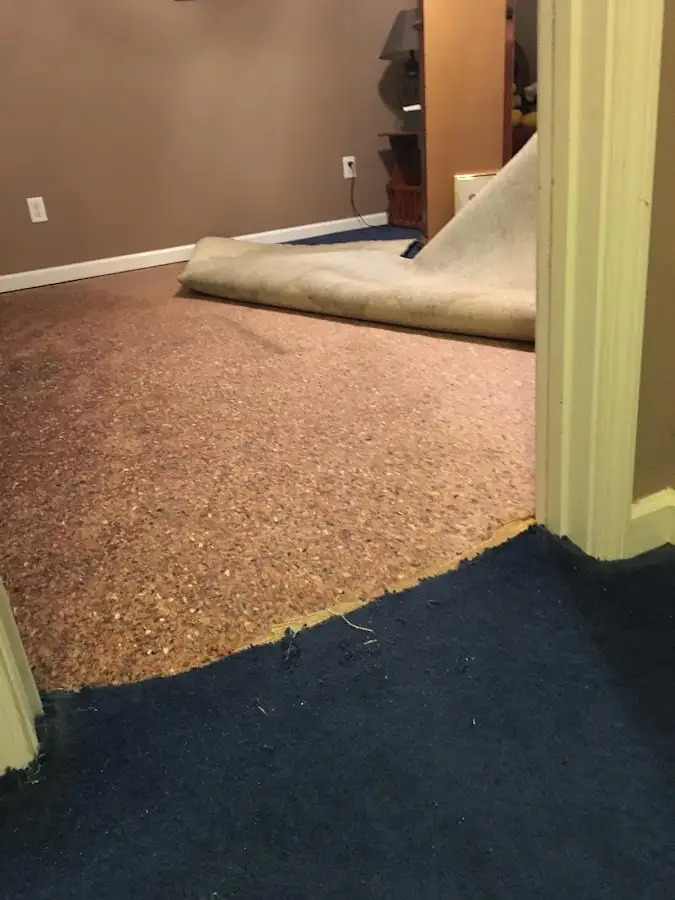 Carpet pad removal revealing water damage during Water Mitigation Services in Hopkinton